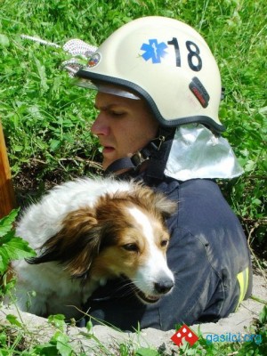 slika079.jpg