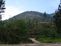 Neurje julij 2008 3.jpg