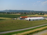 Copy of IMG_4576.jpg