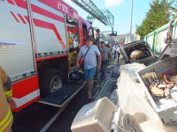 lepo nedeljsko popoldne