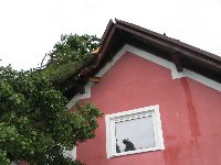 sila ostrešje lomi :(