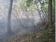 110_1036.jpg