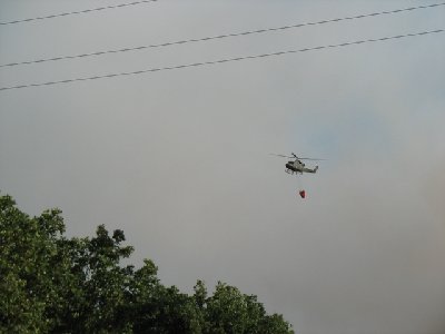 IMG_2428.JPG